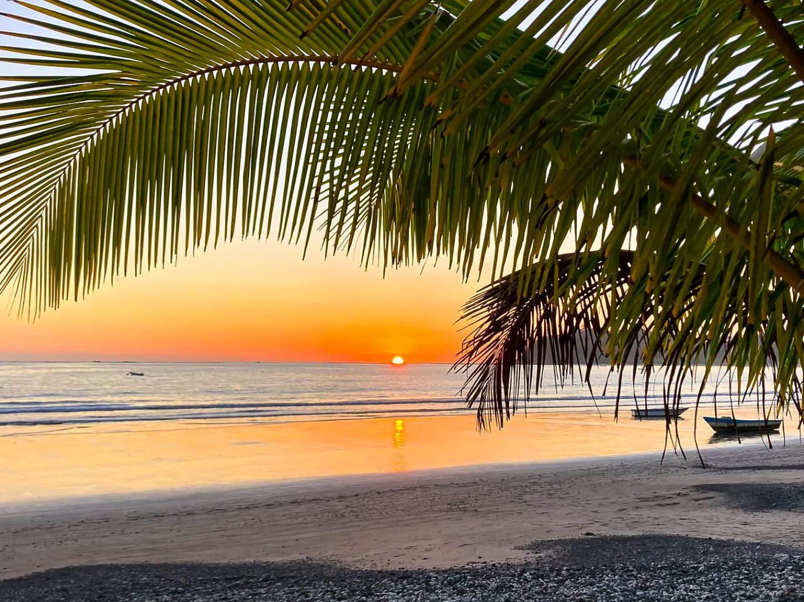 Fenix Hotel - On The Beach Sámara 외부 사진