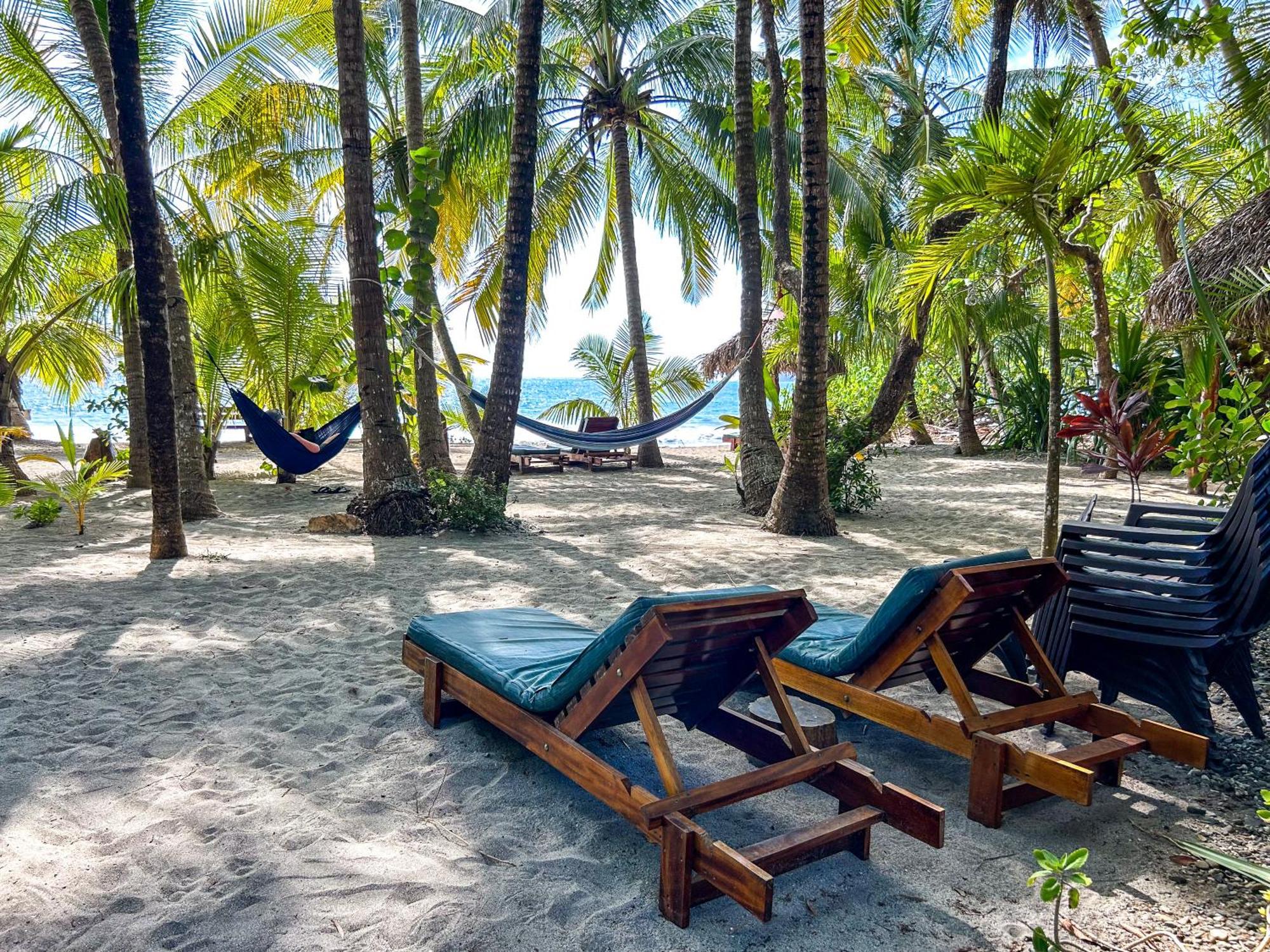 Fenix Hotel - On The Beach Sámara 외부 사진